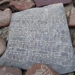 conscious confidence radio with sarah mane